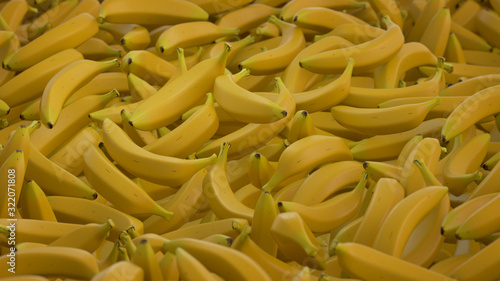 Endless supply of bananas 3D render illustration