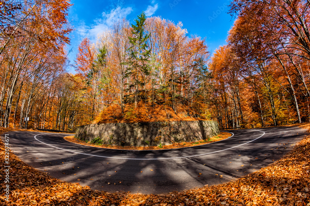 Beautiful fisheye view of a forest with trees and foliage autumn leaves on the road to Sfanta Ana, Harghita County, Romania Beautiful fisheye view of a forest with trees and foliage autumn leaves on the road to Sfanta Ana, Harghita County, Romania