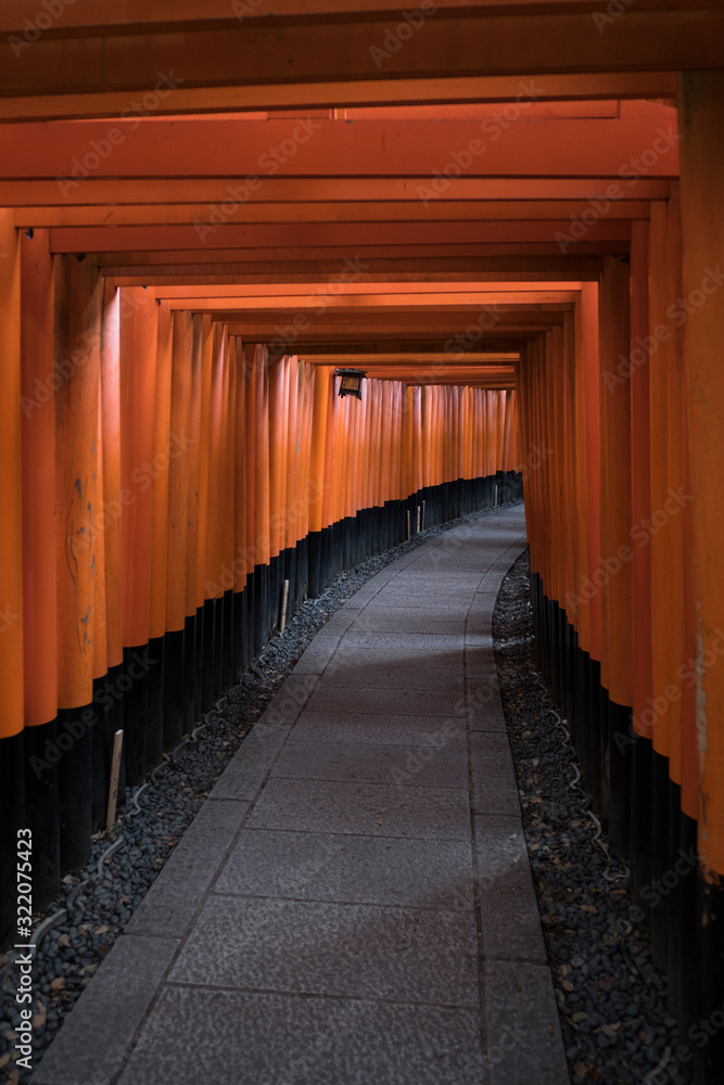 Fototapeta premium torii fushimi inari