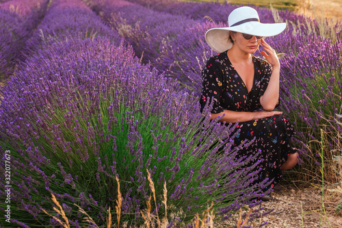 Provence lavender bloom