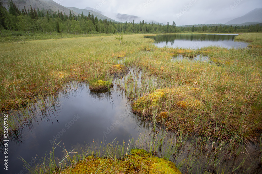 Mountain lake with green grass on the shore. Mountains of the Polar Urals Mountain lake with green grass on the shore. Mountains of the Polar Urals