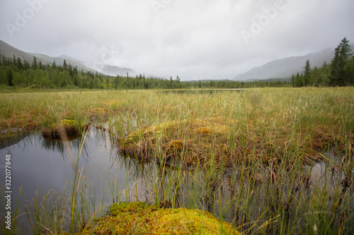 Mountain lake with green grass on the shore. Mountains of the Polar Urals