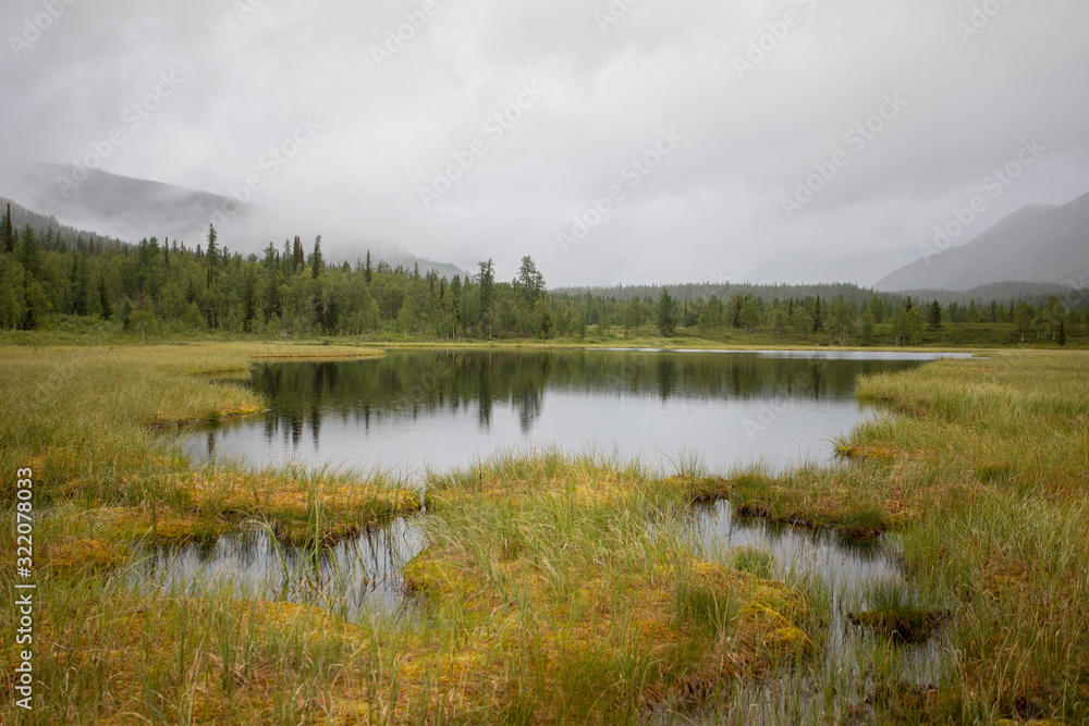 Mountain lake with green grass on the shore. Mountains of the Polar Urals Mountain lake with green grass on the shore. Mountains of the Polar Urals