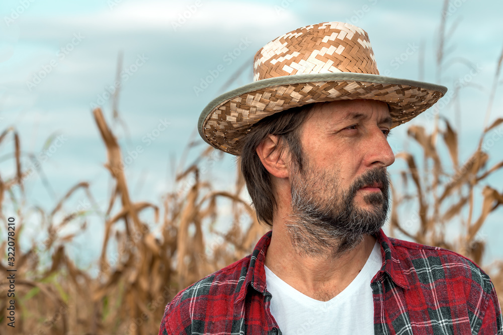 Portrait of corn farmer in ripe maize crop field
