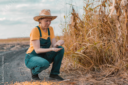 Disappointed female corn farmer in cornfield after poor harvest