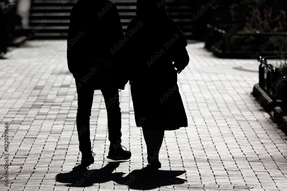 Obraz premium 休日の昼下がりの公園で逆光に浮かぶシルエット、神奈川県横浜市山下公園・日本