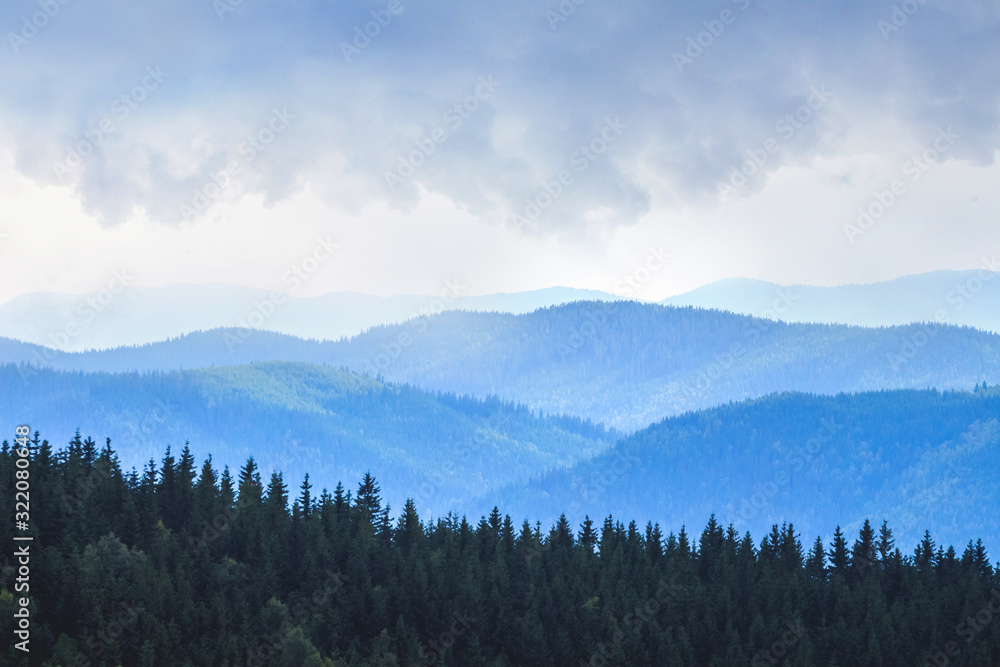Dark spruce on a background of blue mountains in cloudy weather_