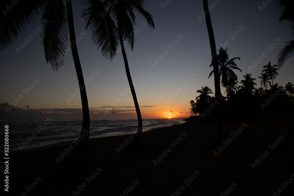 Orange sun is rising on the beach of a tropical island. Amazing sky and sun going up, palm silhouettes: a postcard from paradise. Scenic view, vacation concept.