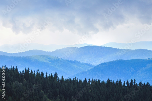 Dark spruce on a background of blue mountains in cloudy weather_ © Volodymyr