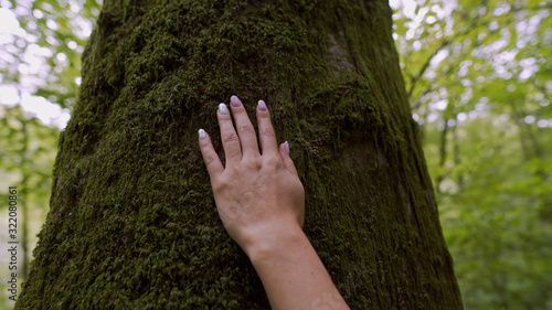 A woman's hand touches a tree that is covered with green moss.