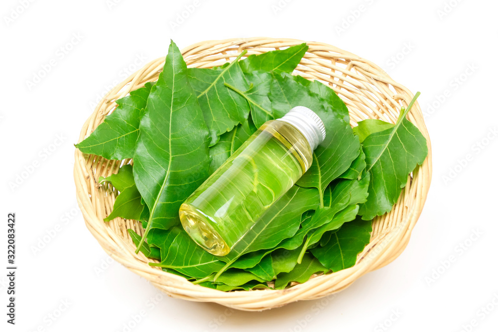 Medicinal neem leaves with essential oil on wicker basket isolated on white background. Medicinal neem leaves with essential oil on wicker basket isolated on white background.
