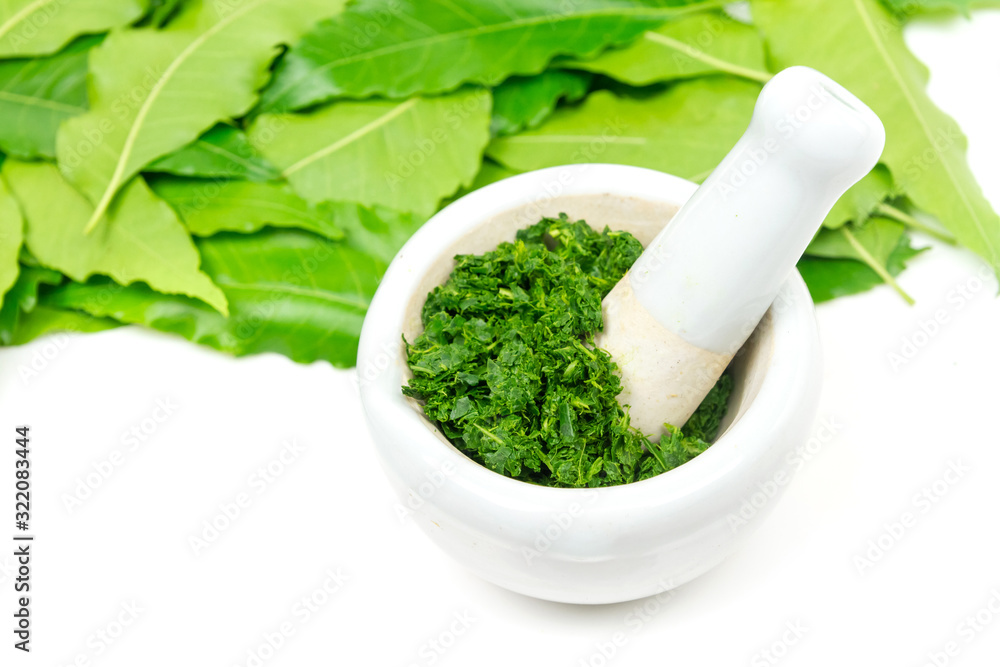 Medicinal Neem leaves in mortar and pestle white ceramic and neem leaf isolated on white background. 