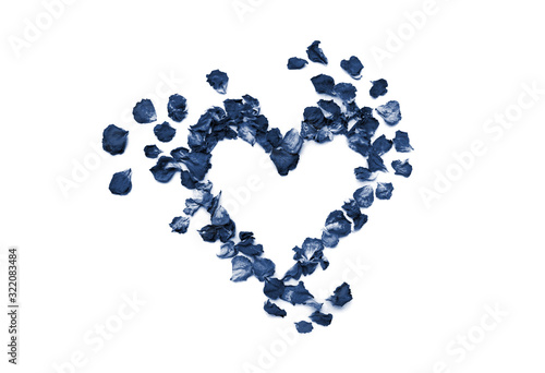 beautiful heart of classic blue rose petals isolated on white with copyspace