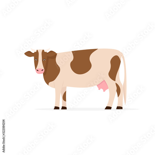 Cow. Flat vector cartoon illustration isolated white background.