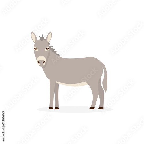 Donkey flat vector cartoon illustration isolated white background.