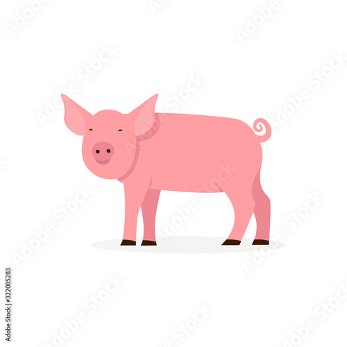 Pig flat vector cartoon illustration isolated white background.