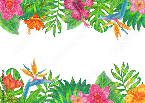 Fototapeta Naklejka Na Ścianę i Meble -  Summer tropical background banner with palm leaves and exotic flowers. Floral background on paper.