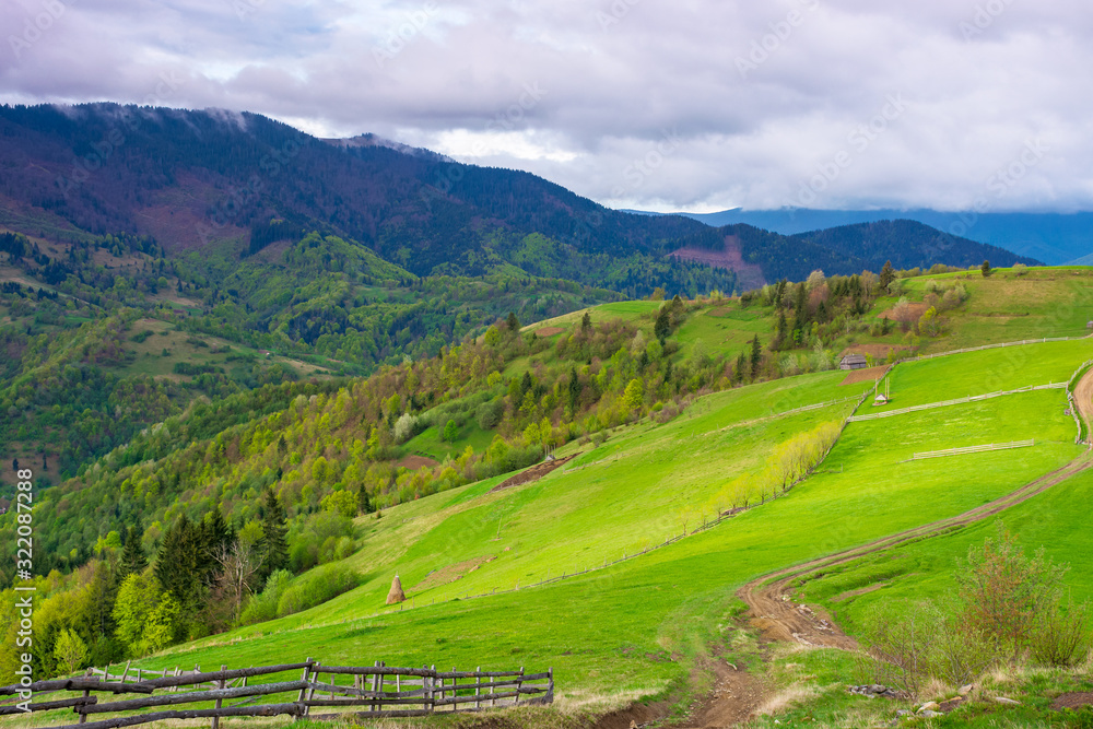 rolling hills and grassy meadows of mountainous countryside. beautiful rural landscape in springtime. sunny weather with clouds on the sky. ridge in the distance
