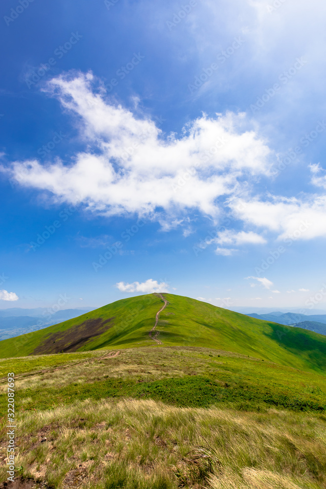 green rolling hills of mountain ridge borzhava. grassy alpine meadows beneath a blue sky with some clouds. beautiful summer landscape of carpathian highlands. Mahura-Zhyde summit in the distance