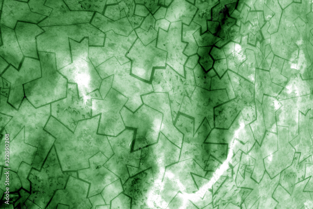 Fototapeta premium Old linoleum with pattern with blur effect in green tone.