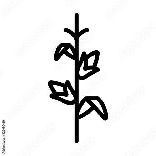 corn food icon vector. Thin line sign. Isolated contour symbol illustration