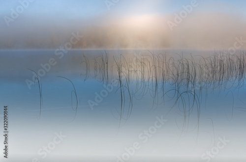 Landscape at sunrise of reeds and reflections, Moccasin Lake, Hiawatha National Forest, Michigan's Upper Peninsula, USA
