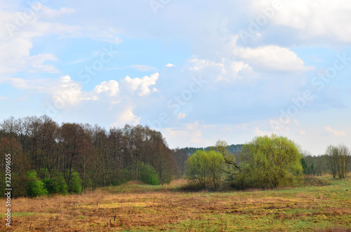 View of a field with green trees against a blue sky