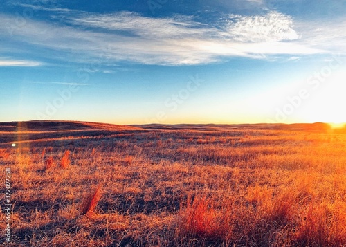 sunset over the field