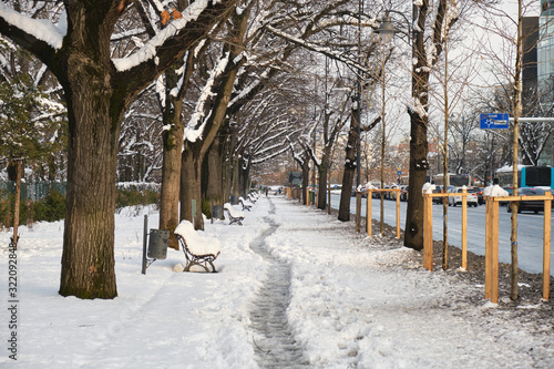 Sidewalk in Bucharest, Romania, covered with snow, and a narrow footpath pointing ahead, framed by trees on both sides.