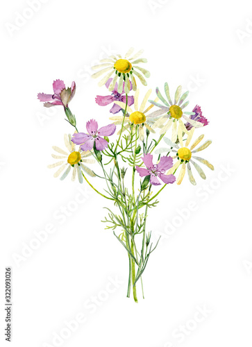 A small bouquet of watercolor wild daisies and carnations .For congratulations, invitations, weddings, anniversaries, birthday