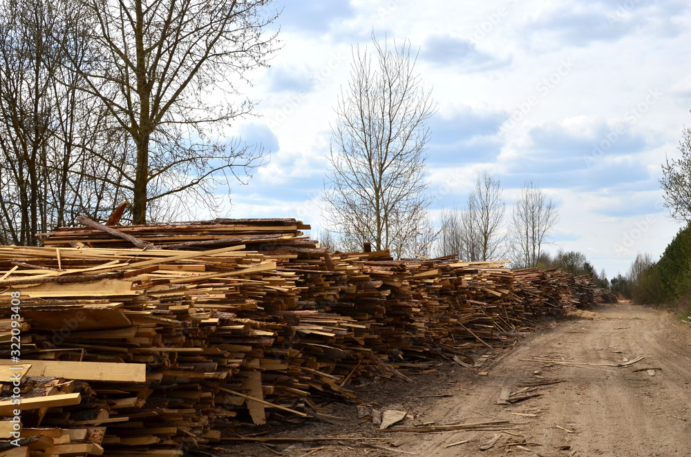 Logs stacked on logging and woodworking industry. A stock pile of timber, chopped down trees. Timber industry. De-forestation.