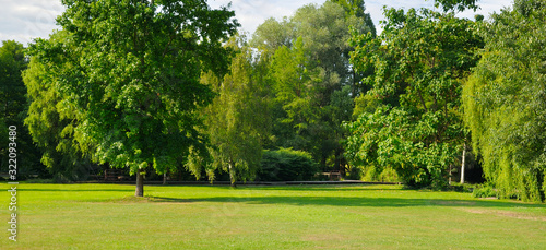 Summer park with extensive lawns. Wide photo.