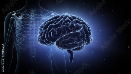 Fototapeta Naklejka Na Ścianę i Meble -  Brain head human mental idea mind 3D illustration background
