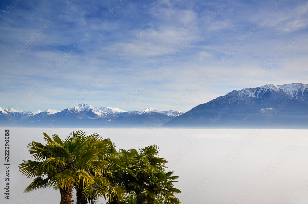 Aerial View over Cloudscape and Snow-capped Mountain with Palm Trees in a Sunny Day in Ticino, Switzerland.