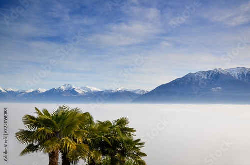 Aerial View over Cloudscape and Snow-capped Mountain with Palm Trees in a Sunny Day in Ticino  Switzerland.
