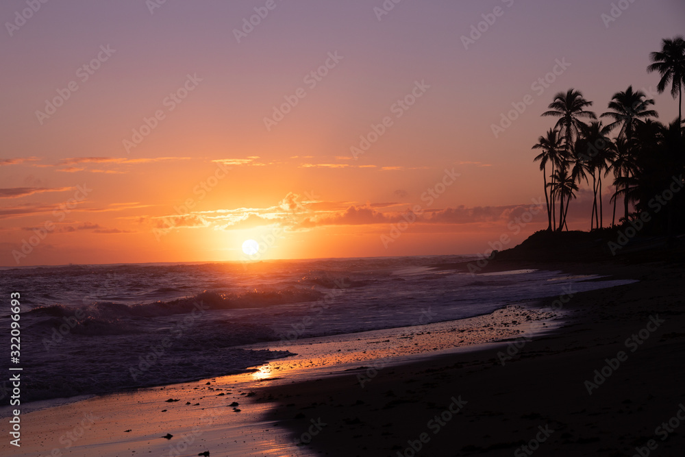 Orange sun is rising on the beach of a tropical island. Amazing pink sky and palm silhouettes: a postcard from paradise. Scenic view, vacation concept.