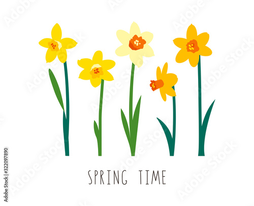 Floral illustration. Vector elements isolated on white background. Greeting card template for bright spring design. Garden flowers. Yellow narcissus. Handwritten lettering. Spring time. Womens Day