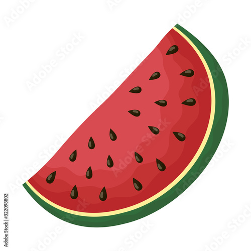 fresh watermelon fruit isolated icon