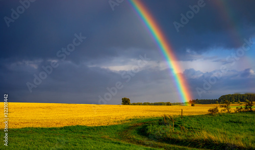 Rainbow