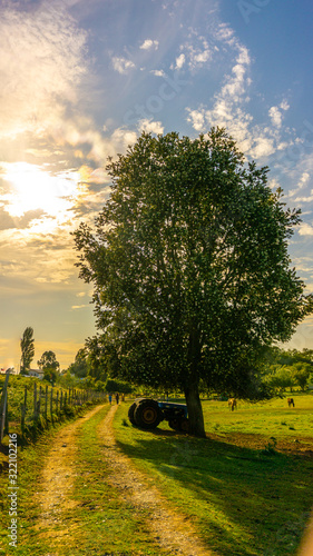 Tractor en el camino de un día soleado