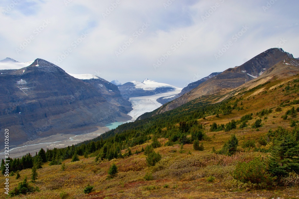 Saskatchewan glacier, brown and gray mountains with forest. Parker Ridge, Banff National park, Canada. Saskatchewan glacier, brown and gray mountains with forest. Parker Ridge, Banff National park, Canada.