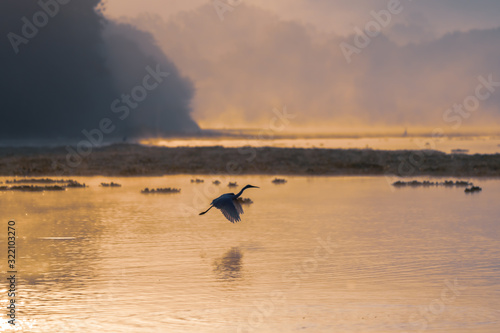 A Silhouette of a egret bird flying over a lake during beautiful sunrise and mist rising over water