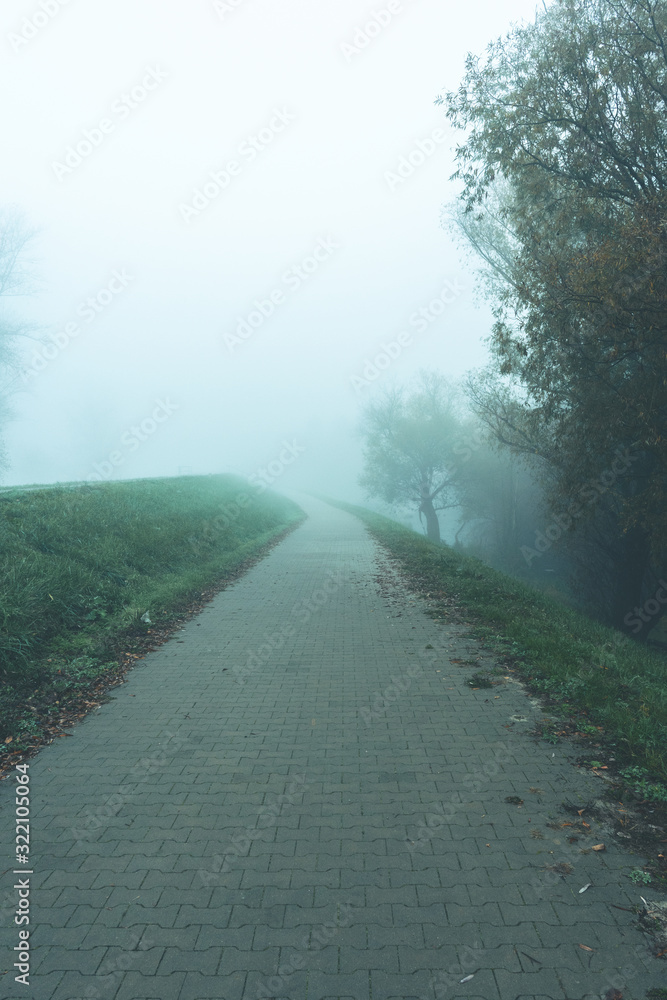 walkway on a foggy day with grass on the sides and white sky
