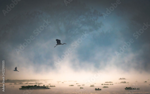 A Silhouette of a birds flying over a lake during beautiful sunrise and mist rising over water