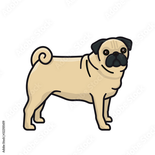 Pug isolated vector illustration