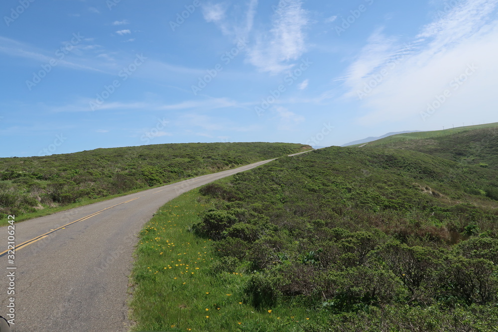 Landscape of a road leading up in a green hill at Point Reyes National Seashore in California