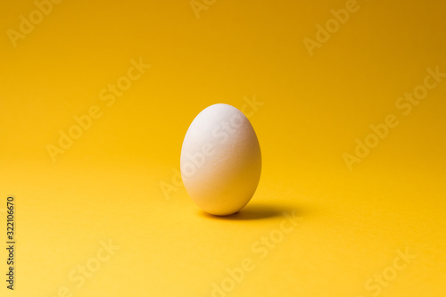 one egg in center of yellow background with dramatic light. design idea