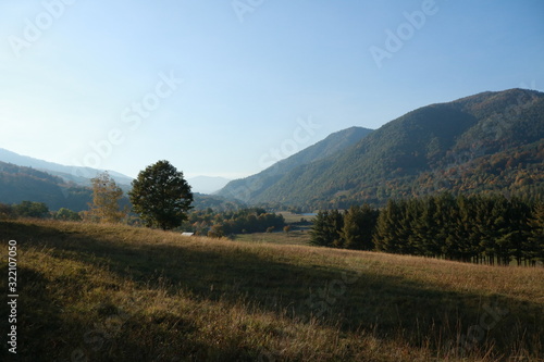 Woods and mountains