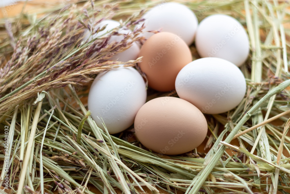 White and brown raw chicken eggs lie in a straw nest