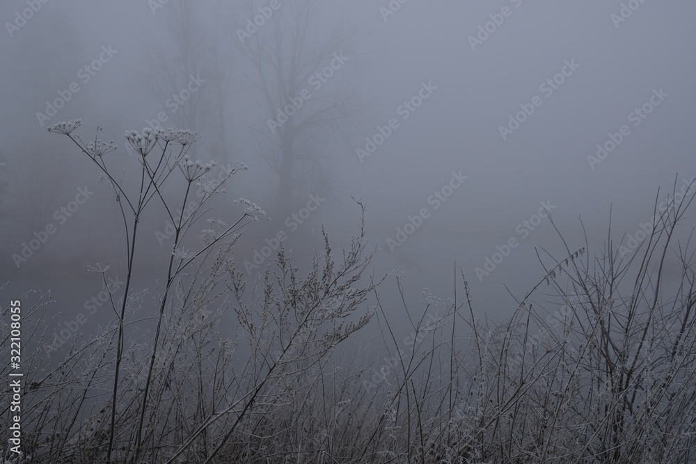 Foggy morning. Gray mystical landscape Foggy morning. Gray mystical landscape